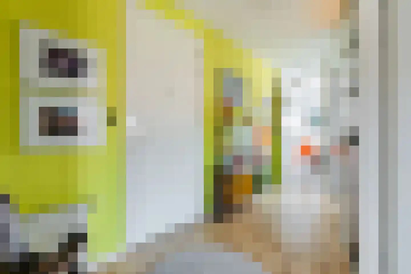 Nieuwstraat 26 Wageningen thumbnail 32