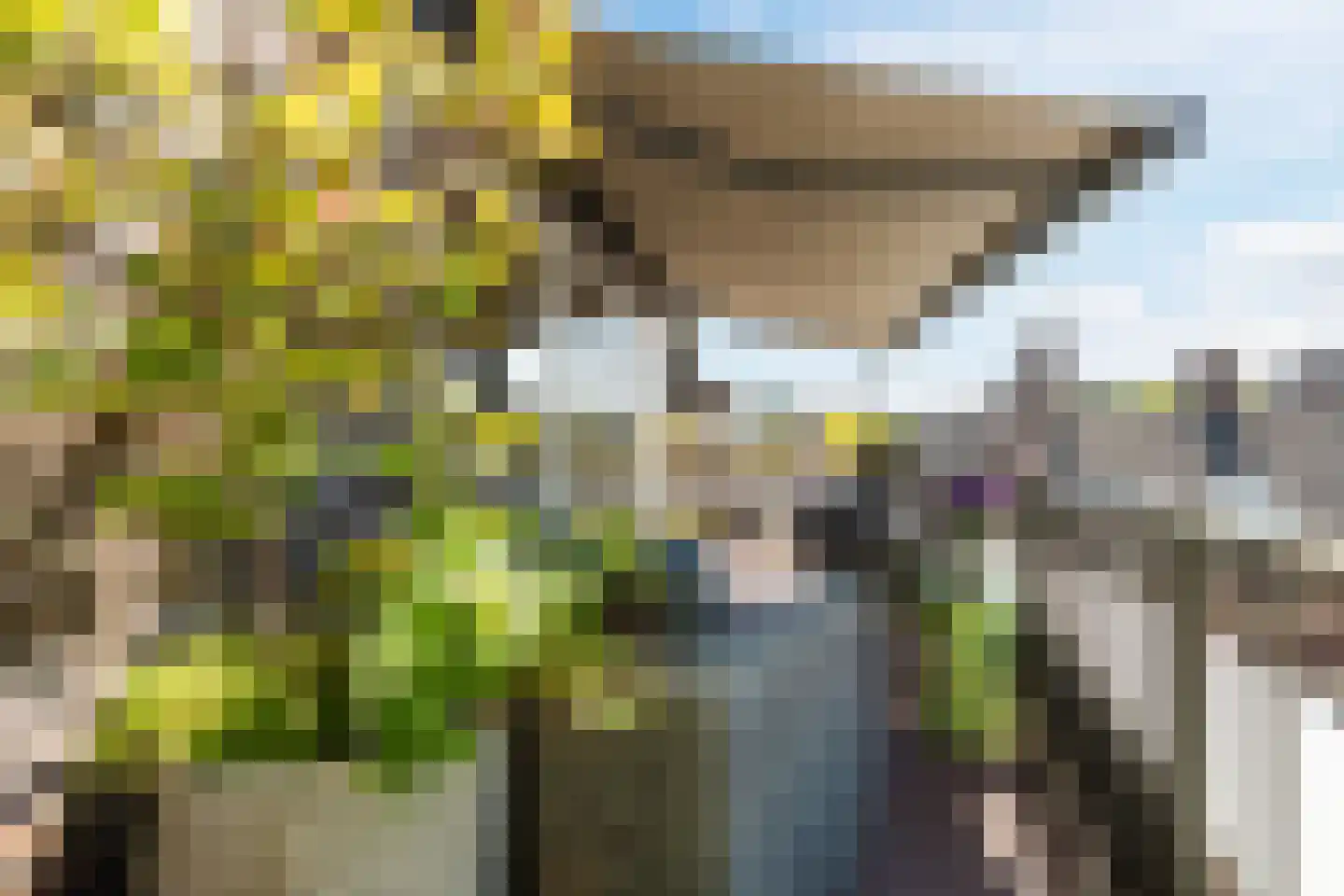 Nieuwstraat 26 Wageningen thumbnail 40