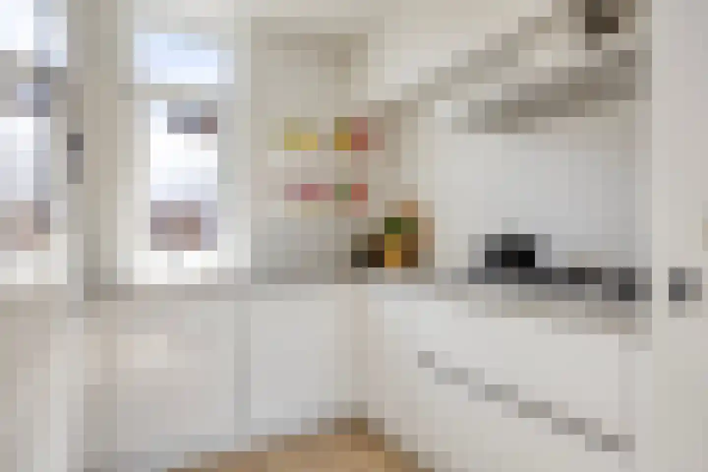 Nieuwstraat 262 Tilburg thumbnail 14