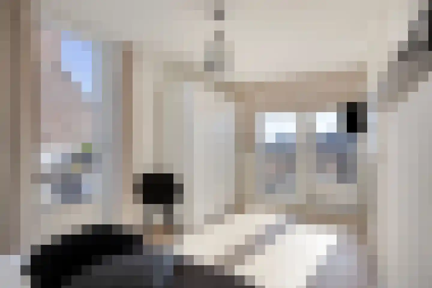 Nieuwstraat 262 Tilburg thumbnail 25