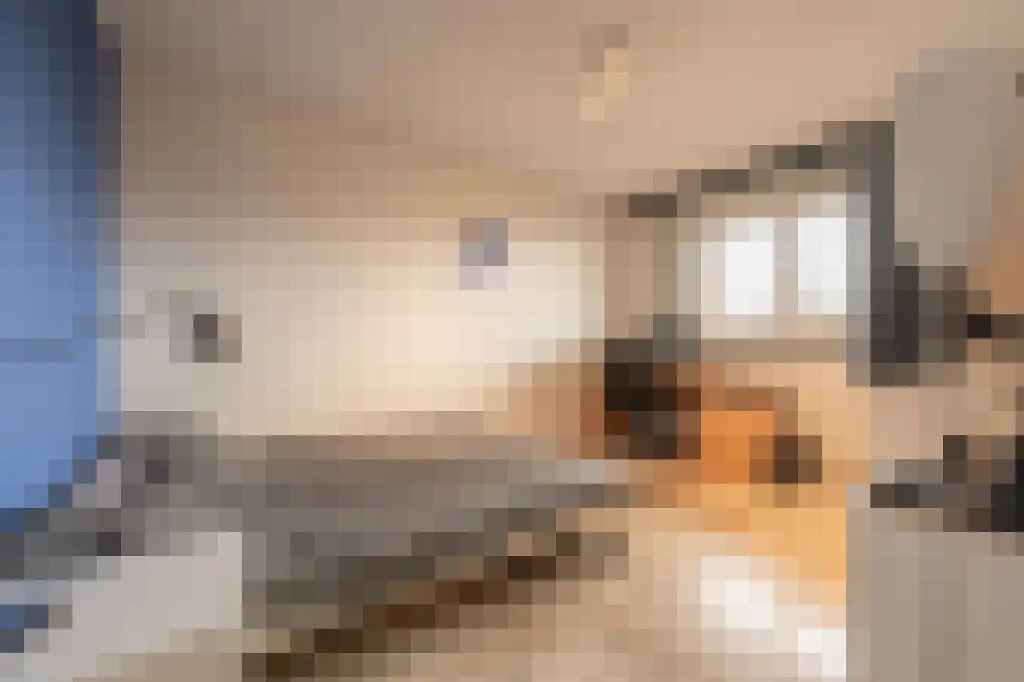 Nieuwstraat 264 Rotterdam thumbnail 18