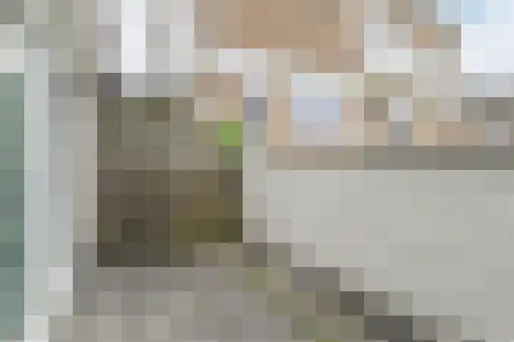 Nieuwstraat 269 Apeldoorn thumbnail 8