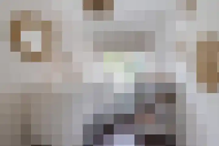 Nieuwstraat 27 Best thumbnail 26