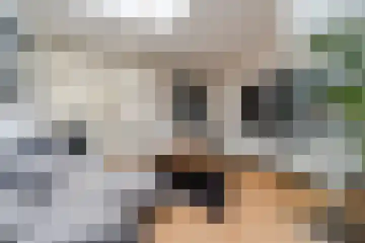 Nieuwstraat 27 Best thumbnail 4