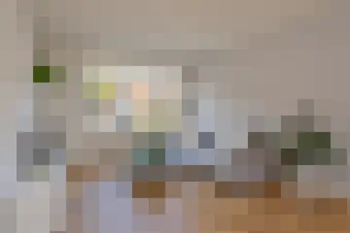 Nieuwstraat 27 Blitterswijck thumbnail 11