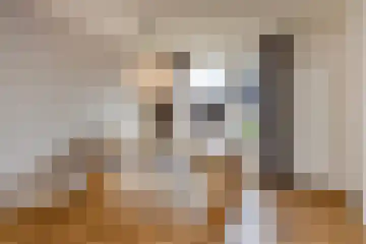 Nieuwstraat 27 Blitterswijck thumbnail 13