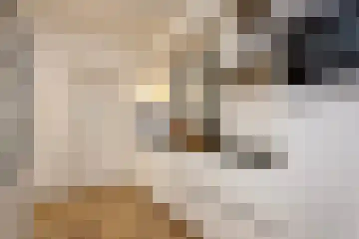 Nieuwstraat 27 Blitterswijck thumbnail 14