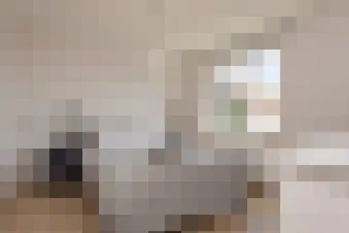 Nieuwstraat 27 Blitterswijck thumbnail 23
