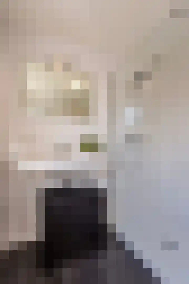 Nieuwstraat 27 Blitterswijck thumbnail 27