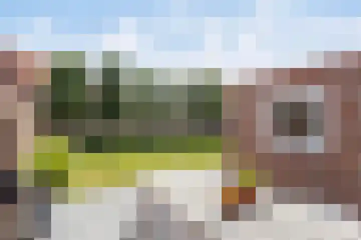 Nieuwstraat 27 Blitterswijck thumbnail 29