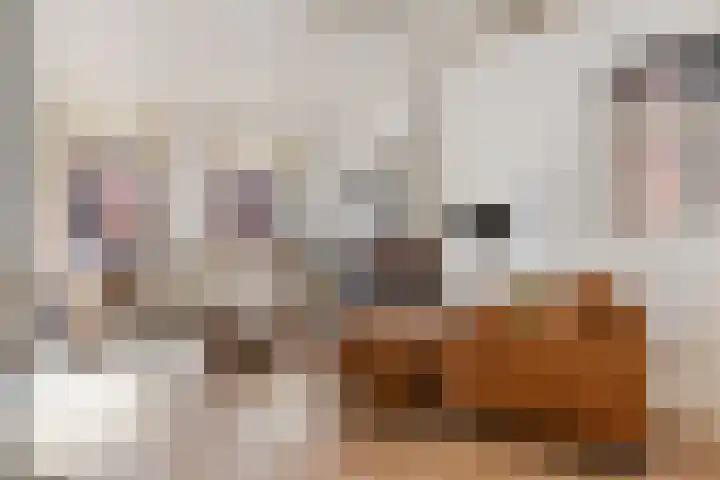 Nieuwstraat 27 Bodegraven thumbnail 10