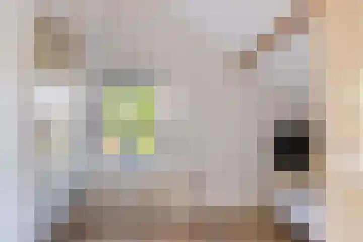 Nieuwstraat 27 Bodegraven thumbnail 38