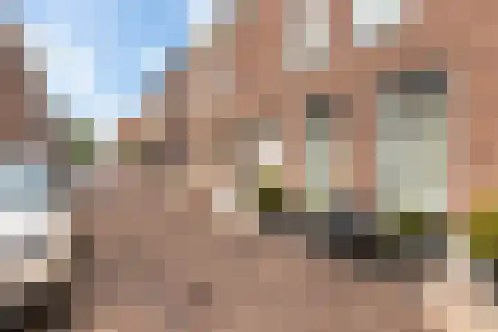 Nieuwstraat 27 Bodegraven thumbnail 55