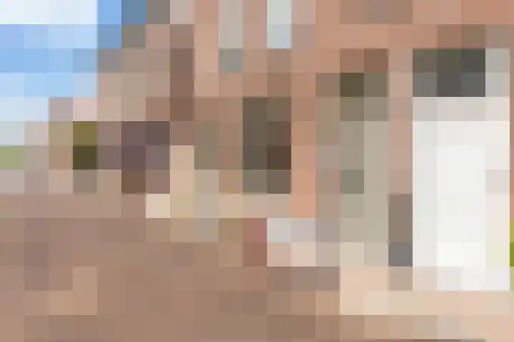 Nieuwstraat 27 Bodegraven thumbnail 6