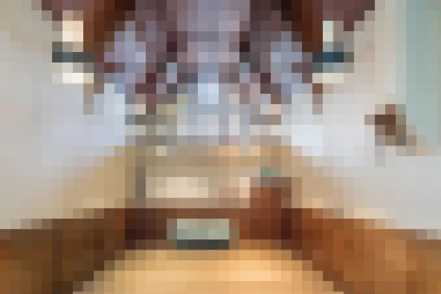 Nieuwstraat 27 Boskoop thumbnail 10