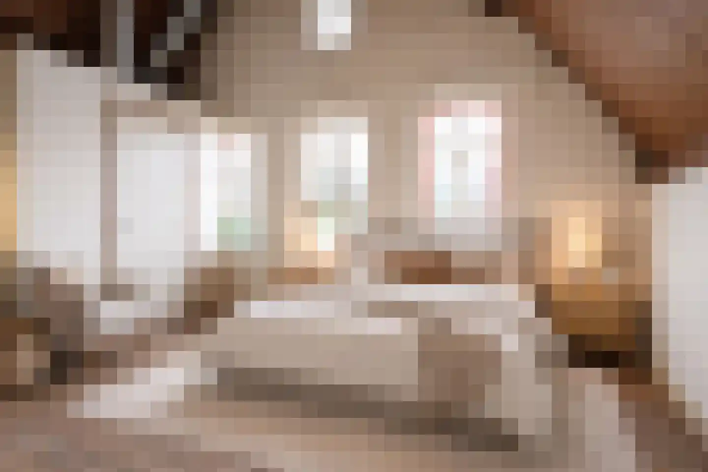 Nieuwstraat 27 Boskoop thumbnail 19