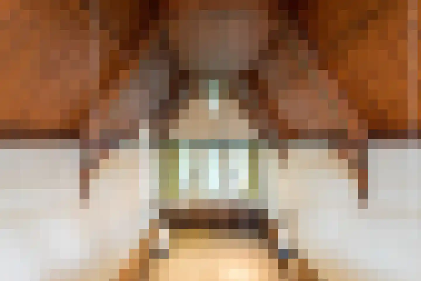 Nieuwstraat 27 Boskoop thumbnail 22