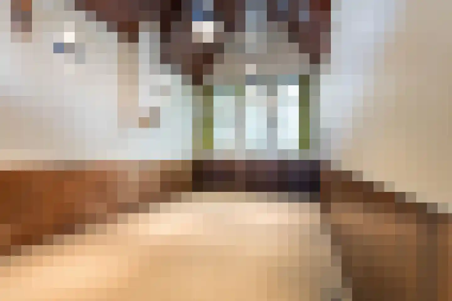 Nieuwstraat 27 Boskoop thumbnail 7