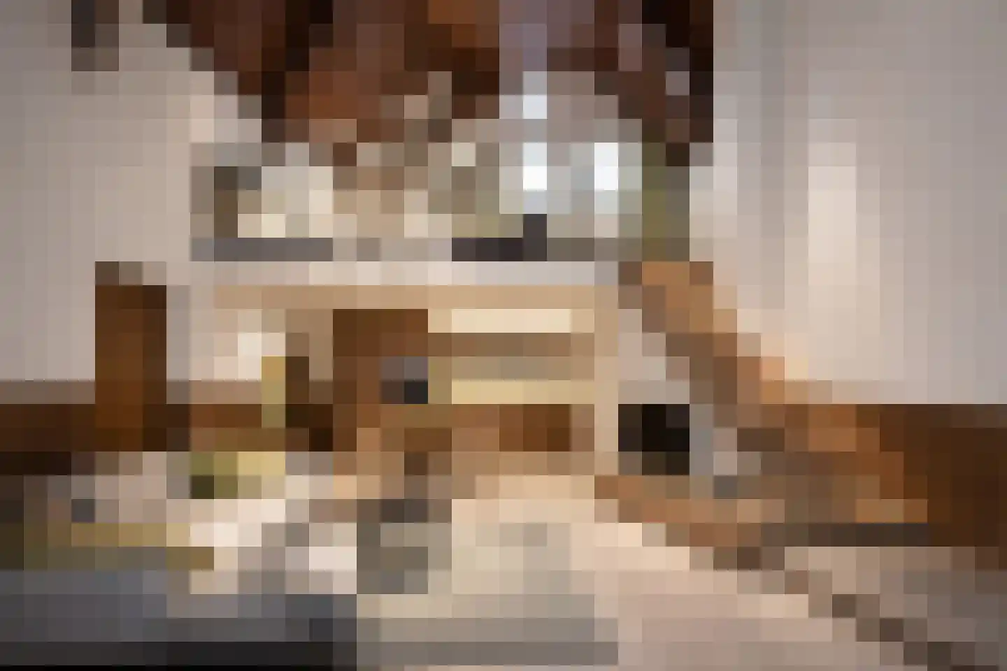 Nieuwstraat 27 Boskoop thumbnail 9