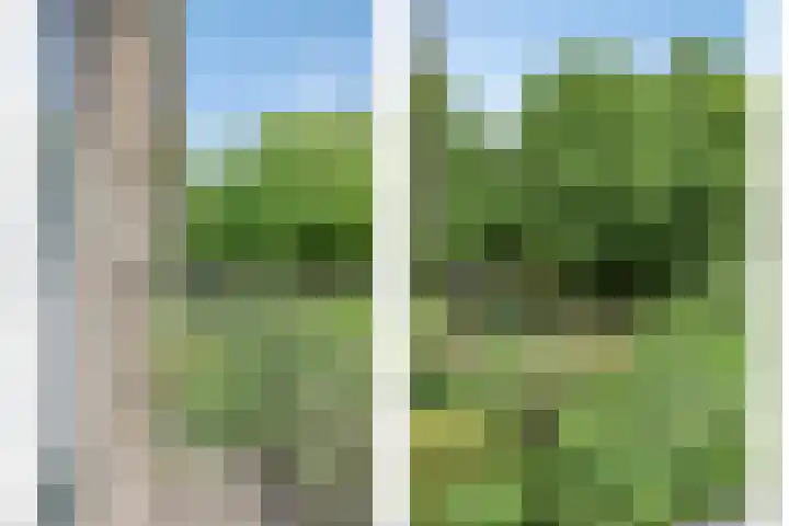 Nieuwstraat 27 Hengevelde thumbnail 18