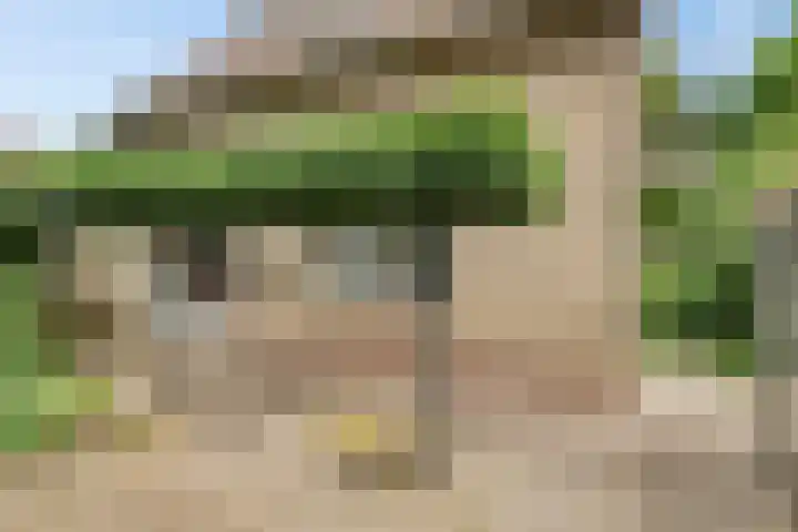 Nieuwstraat 27 Hengevelde thumbnail 20