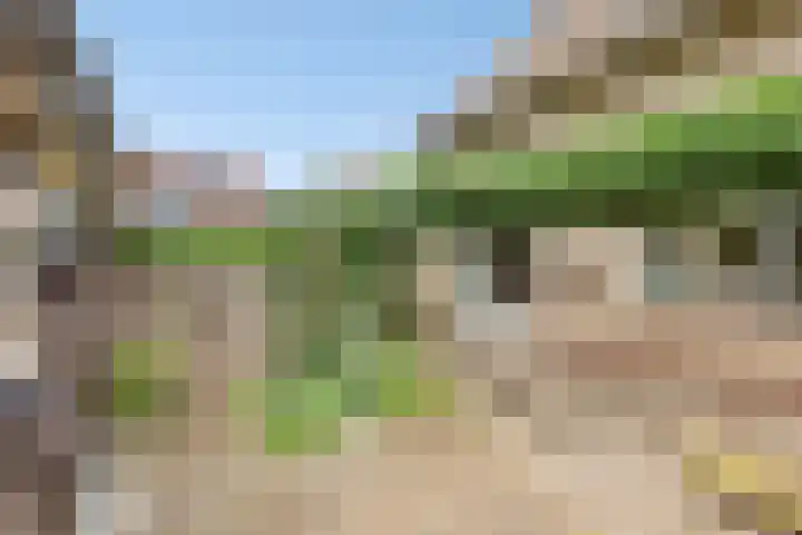 Nieuwstraat 27 Hengevelde thumbnail 21