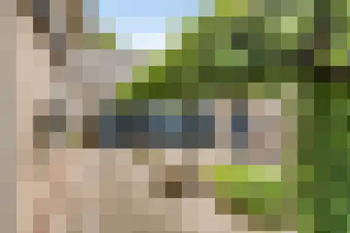 Nieuwstraat 27 Hengevelde thumbnail 22