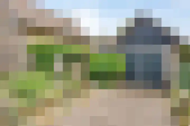 Nieuwstraat 27 Hengevelde thumbnail 23