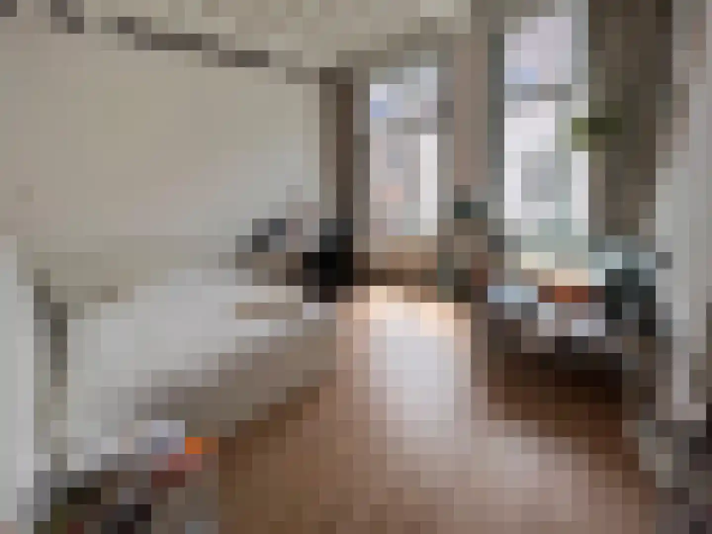 Nieuwstraat 27 Middelburg thumbnail 20