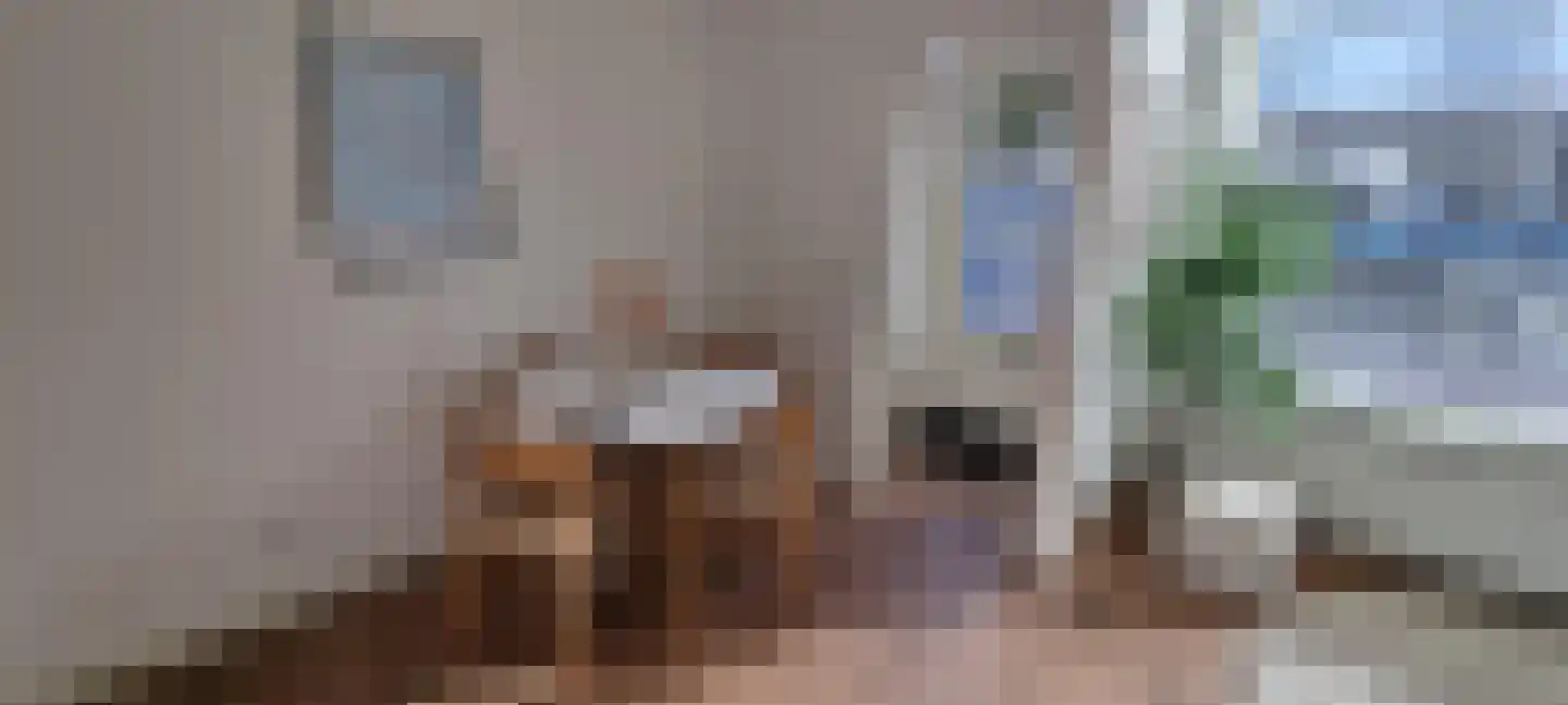Nieuwstraat 28 Baarn thumbnail 4