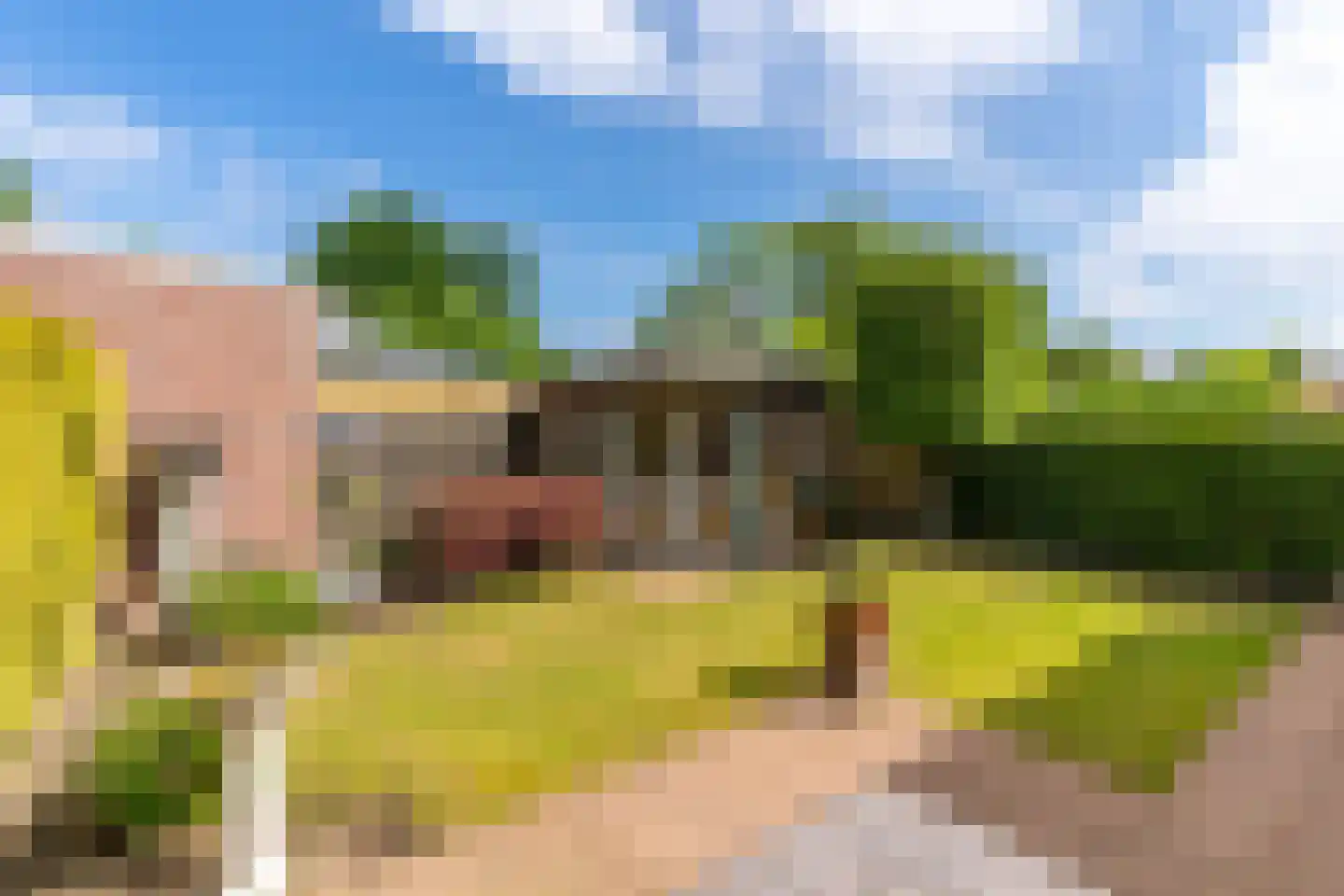 Nieuwstraat 28 Blitterswijck thumbnail 10