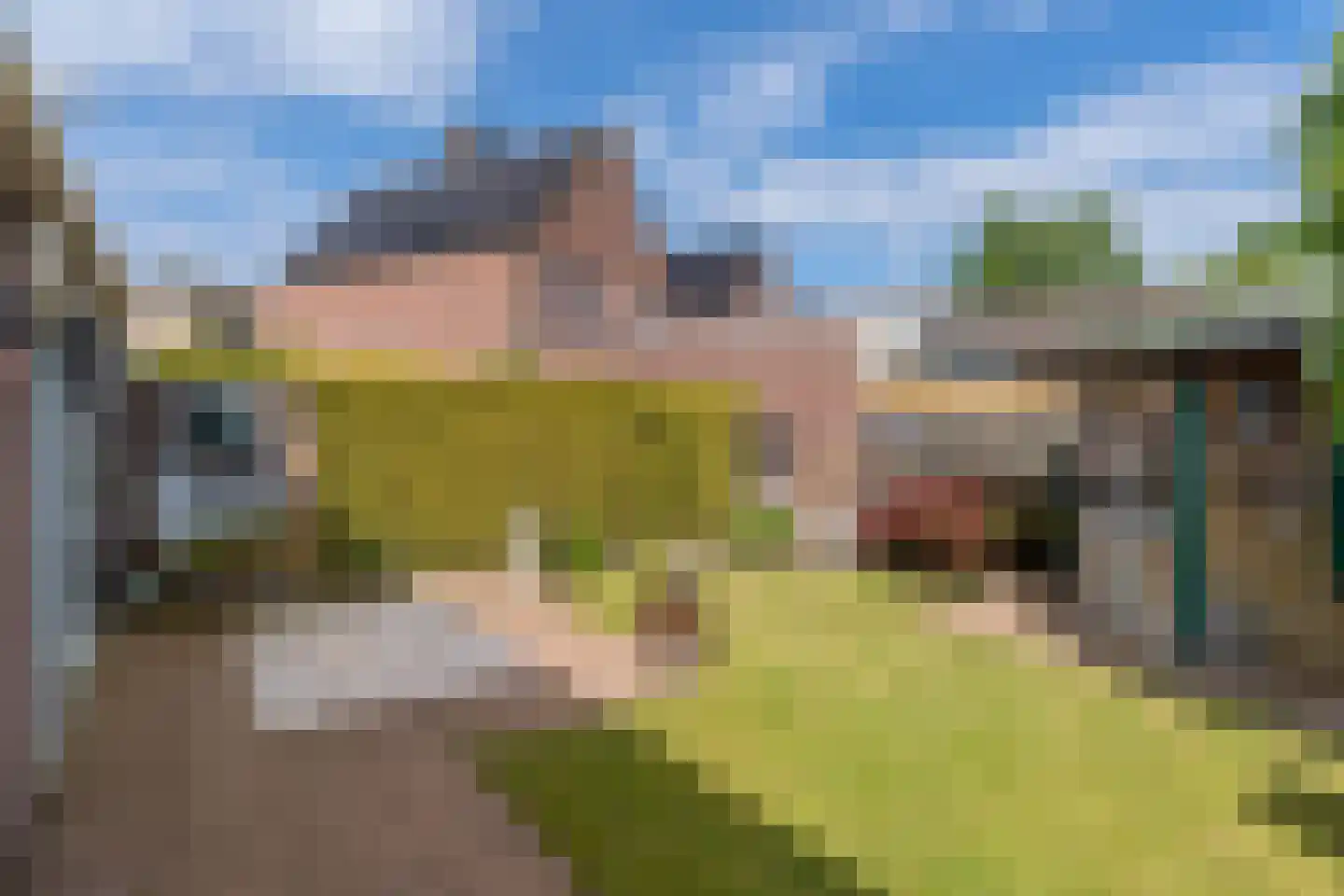 Nieuwstraat 28 Blitterswijck thumbnail 14