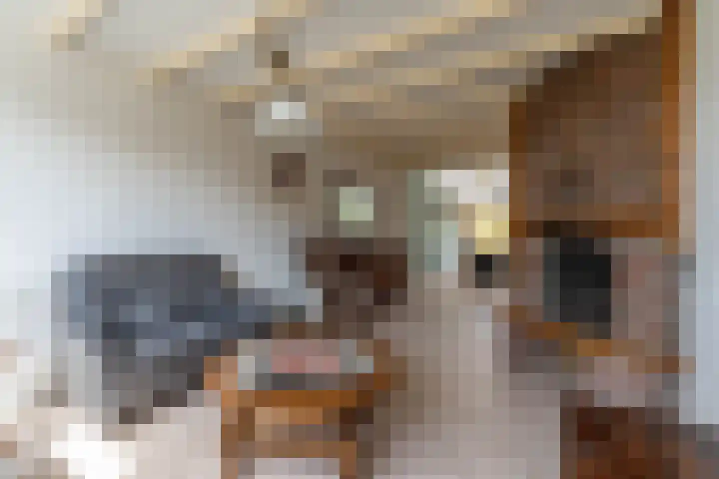 Nieuwstraat 28 Blitterswijck thumbnail 20