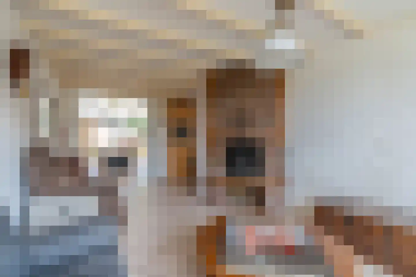 Nieuwstraat 28 Blitterswijck thumbnail 21
