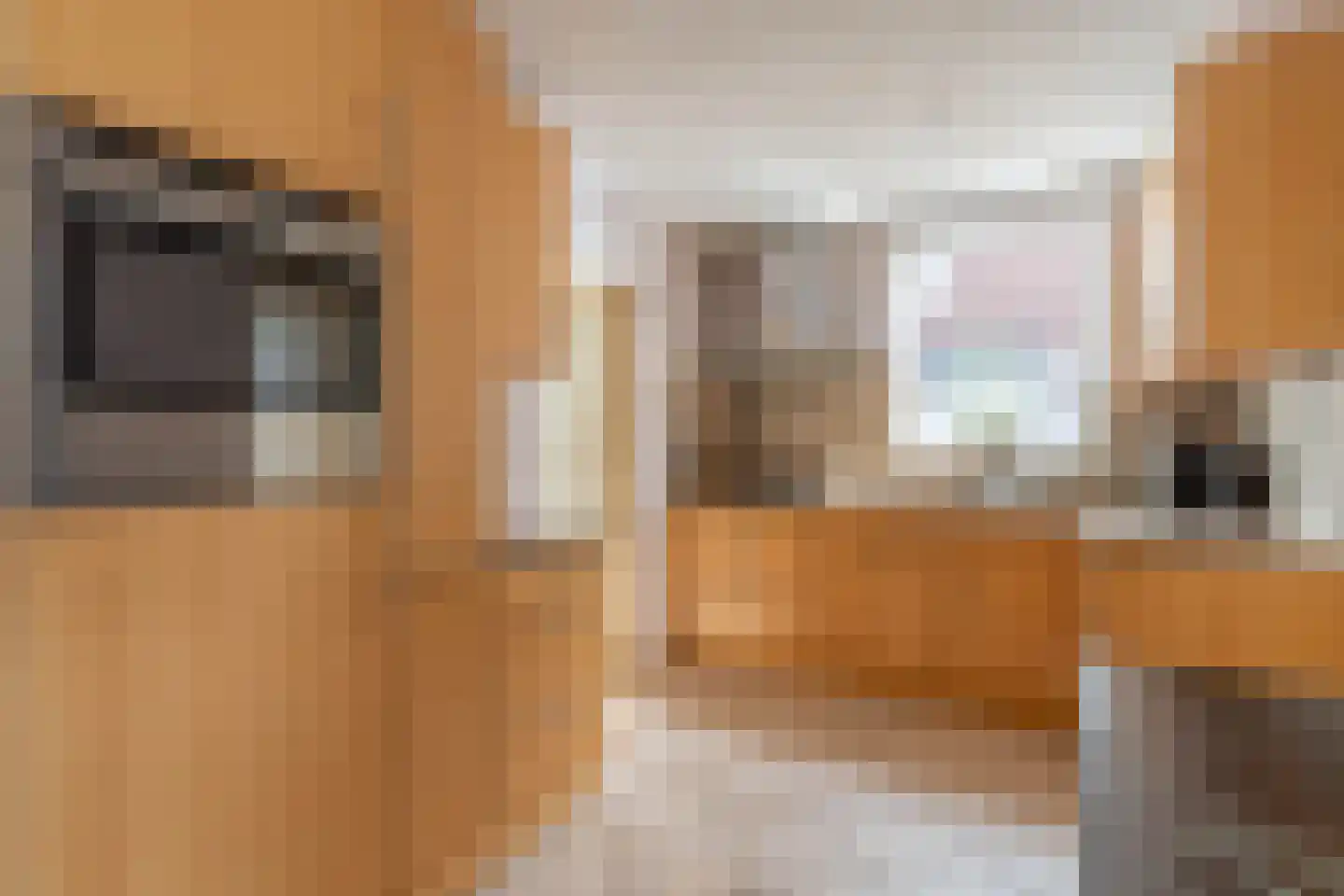 Nieuwstraat 28 Blitterswijck thumbnail 22