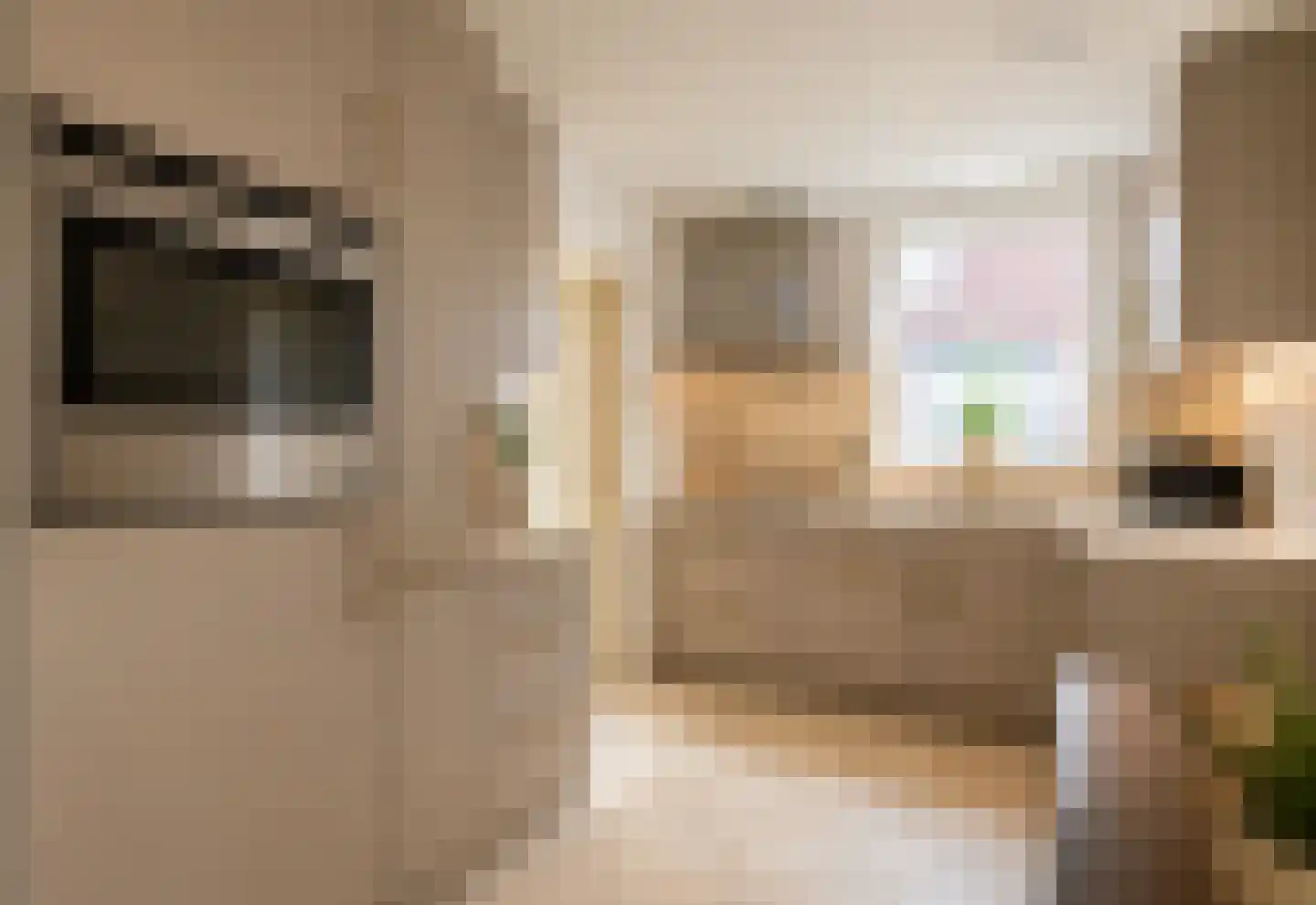 Nieuwstraat 28 Blitterswijck thumbnail 23