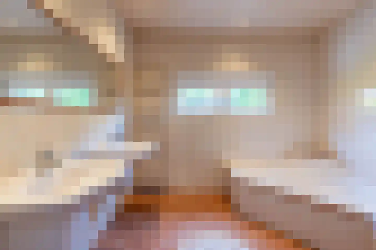 Nieuwstraat 28 Blitterswijck thumbnail 27