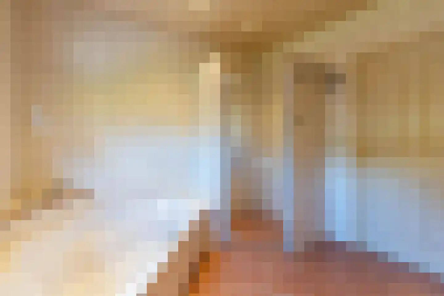 Nieuwstraat 28 Blitterswijck thumbnail 28
