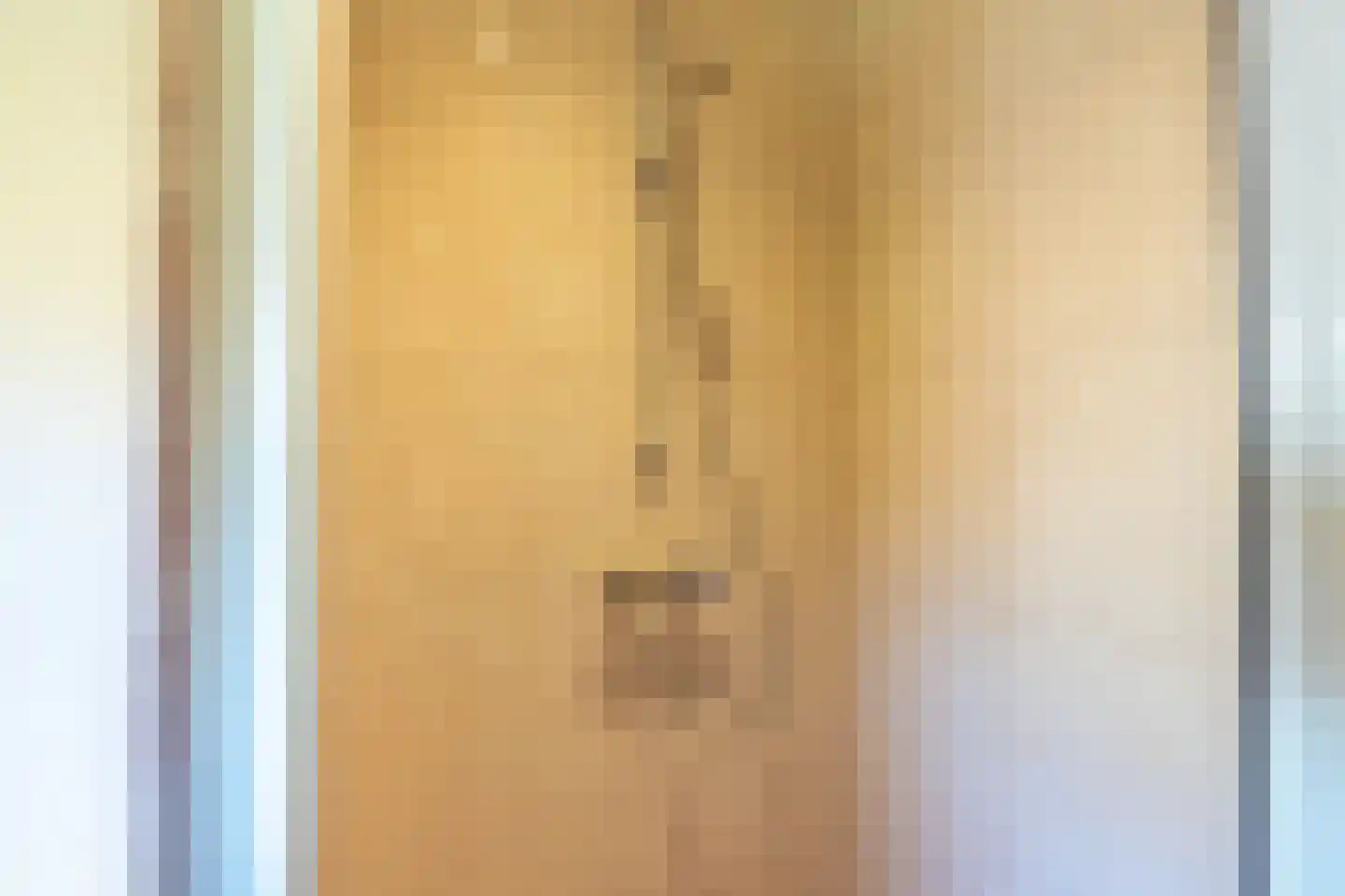 Nieuwstraat 28 Blitterswijck thumbnail 30