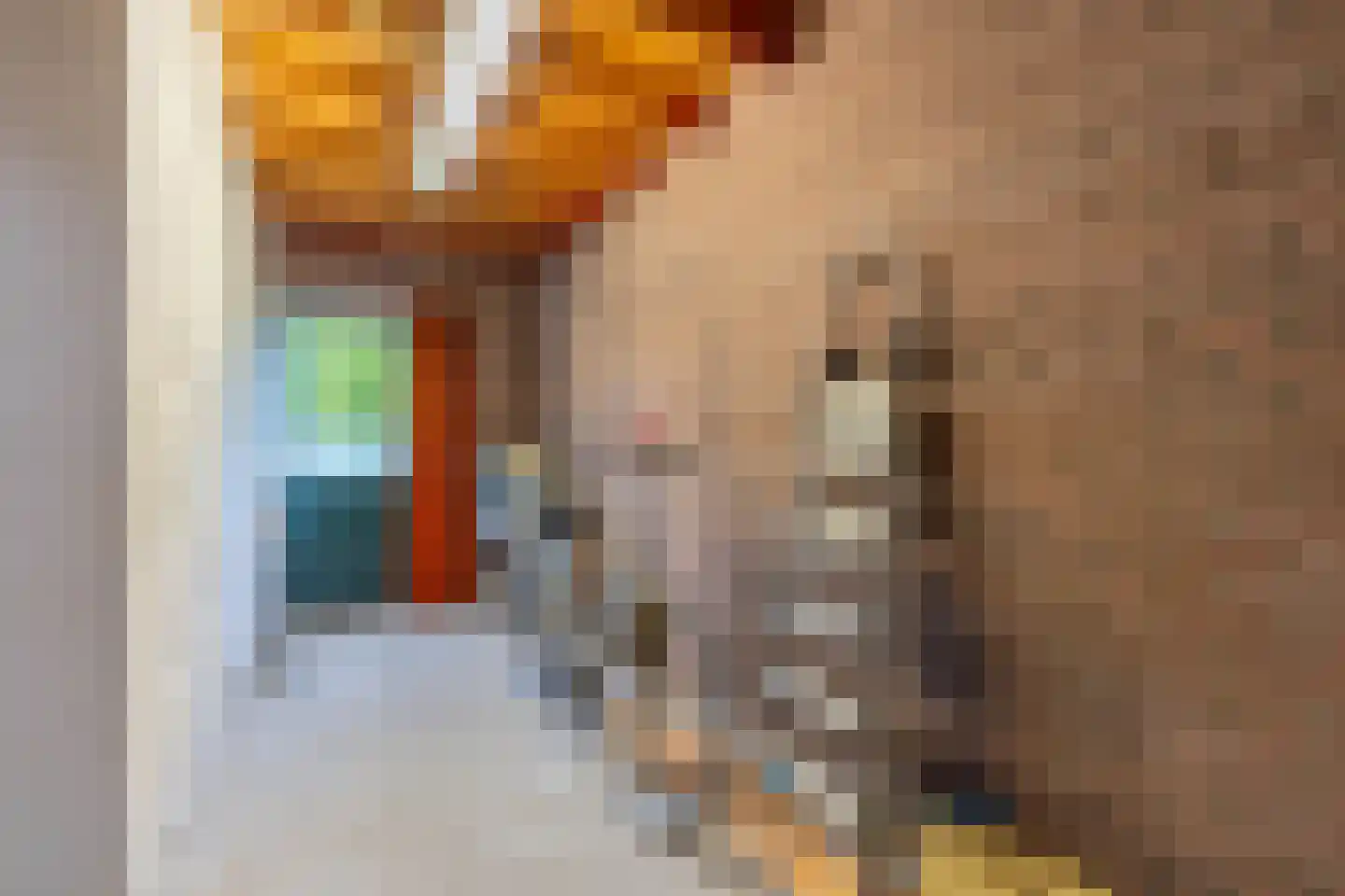 Nieuwstraat 28 Blitterswijck thumbnail 31
