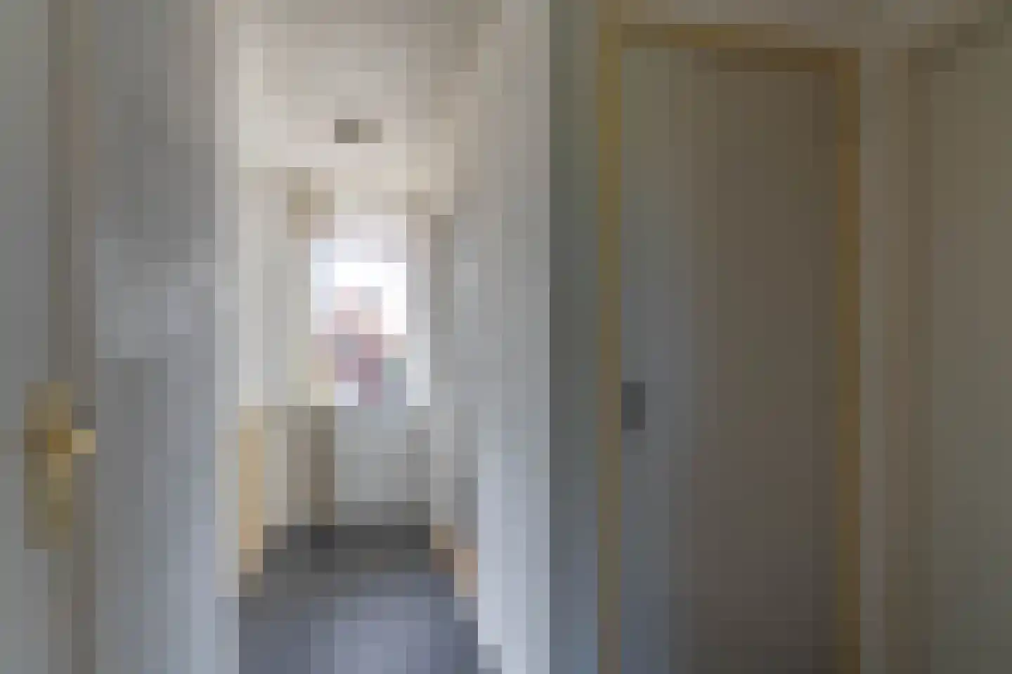 Nieuwstraat 28 Blitterswijck thumbnail 38