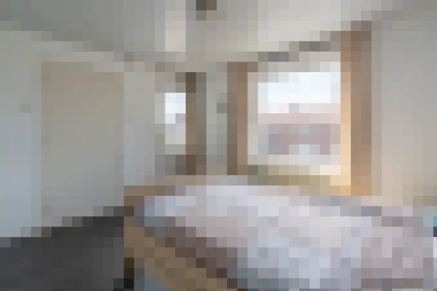 Nieuwstraat 28 Blitterswijck thumbnail 40