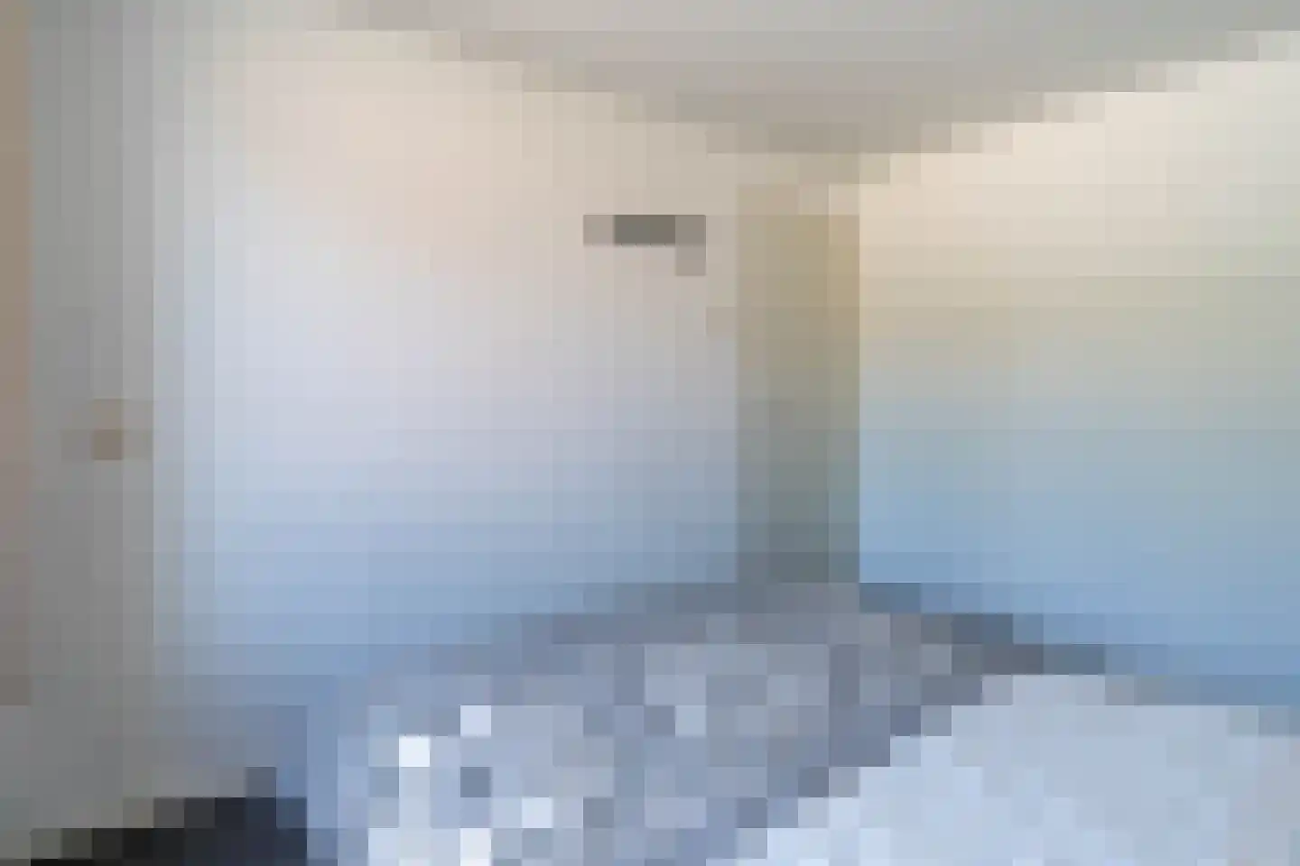 Nieuwstraat 28 Blitterswijck thumbnail 42