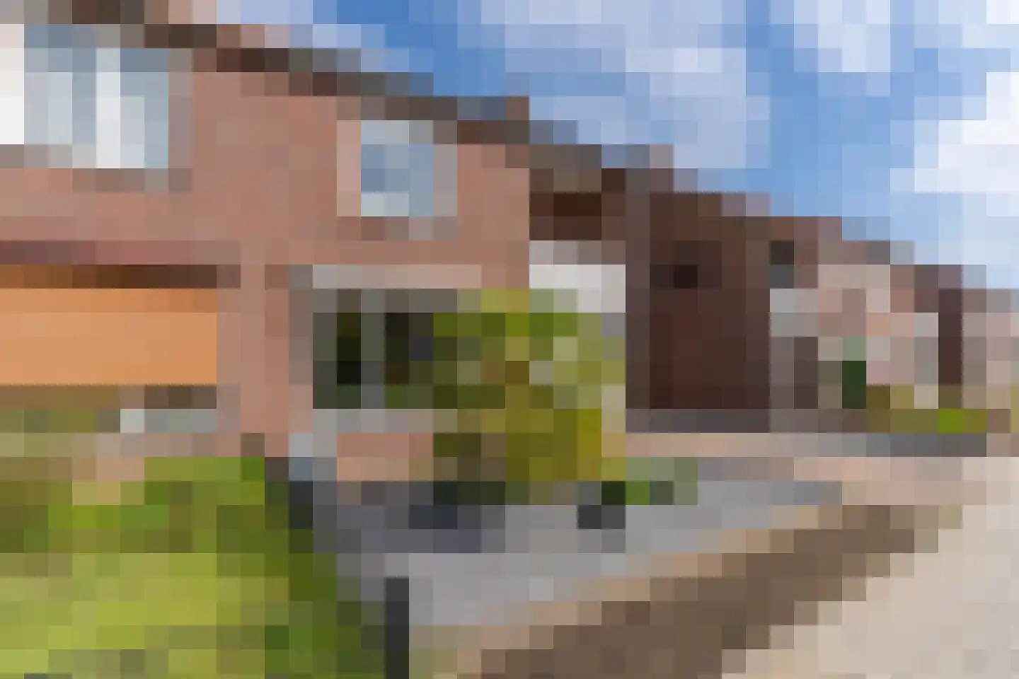 Nieuwstraat 28 Blitterswijck thumbnail 6