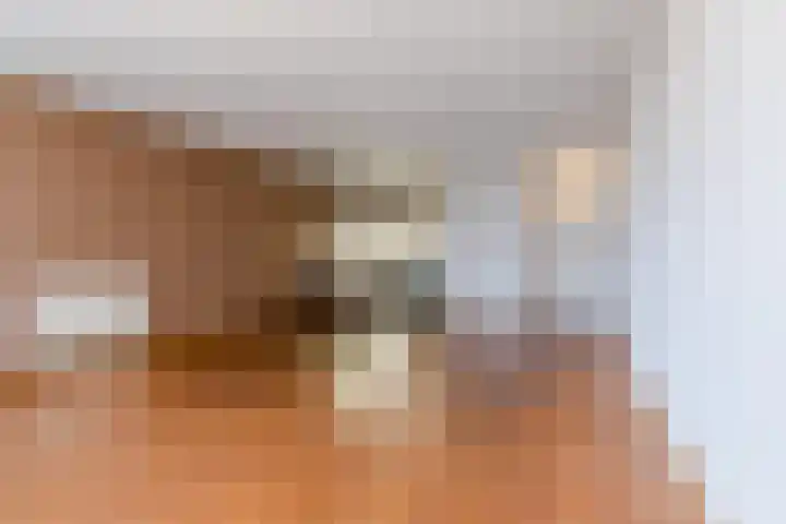 Nieuwstraat 28 d Budel thumbnail 11