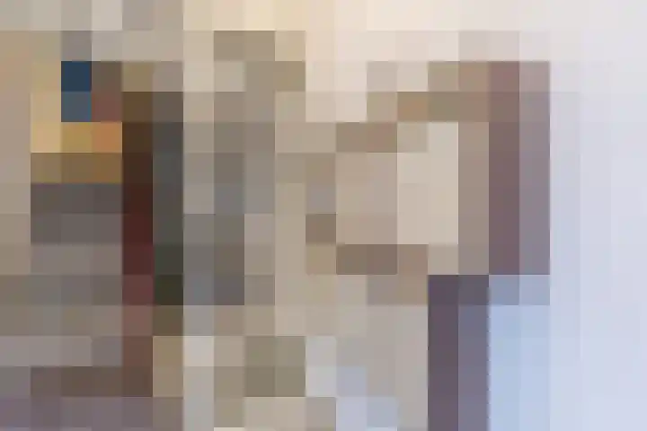 Nieuwstraat 28 d Budel thumbnail 4