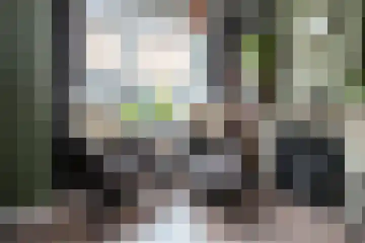Nieuwstraat 28 Genemuiden thumbnail 11