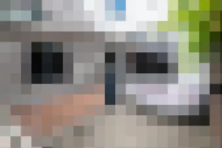 Nieuwstraat 28 Genemuiden thumbnail 23