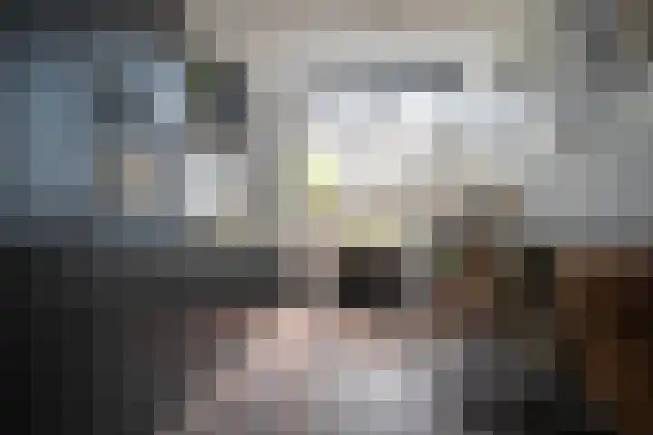 Nieuwstraat 28 Genemuiden thumbnail 4