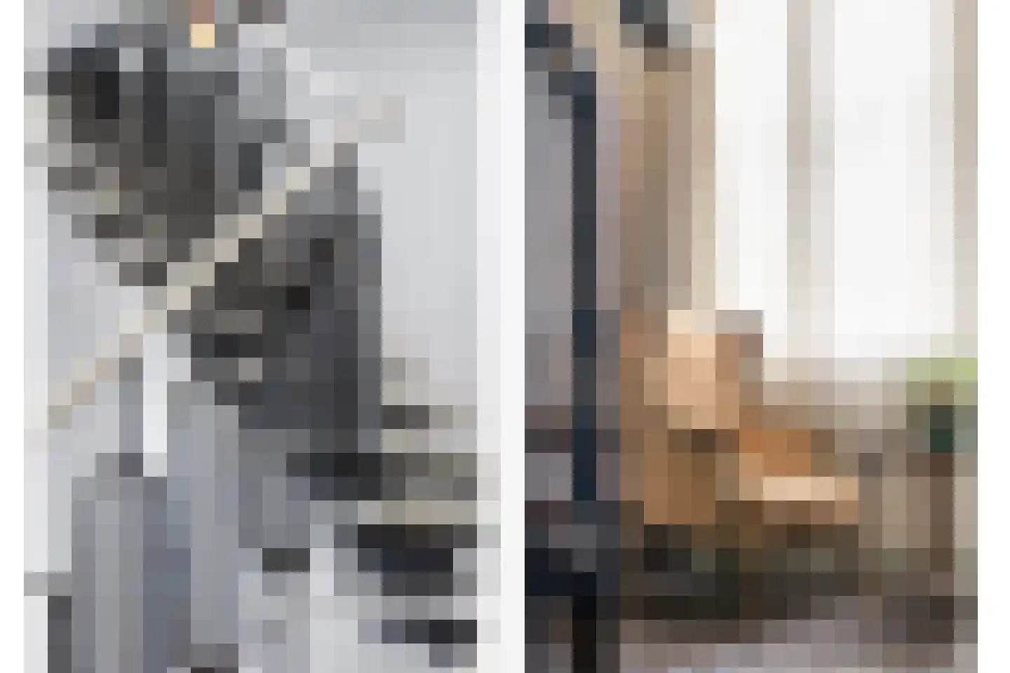 Nieuwstraat 28 Goes thumbnail 13